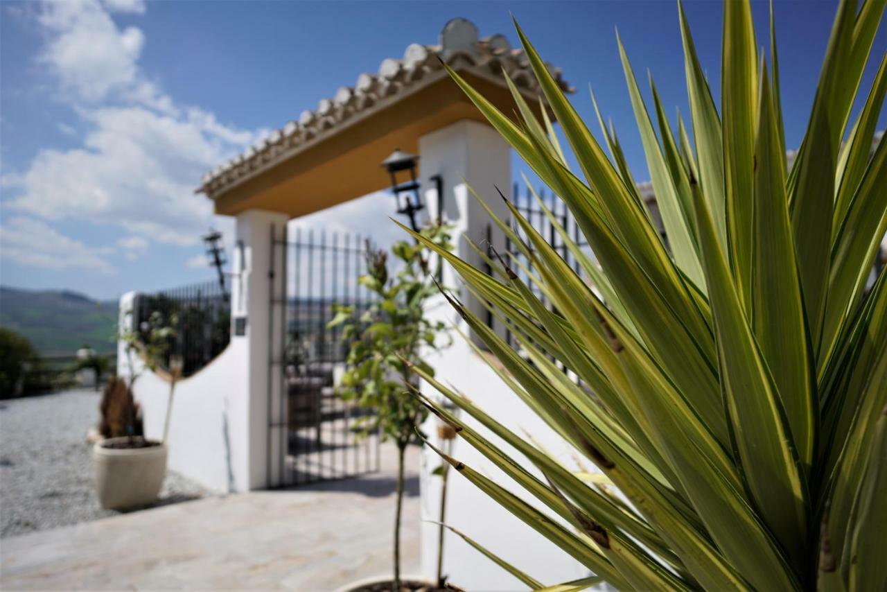El Amparo Bed and Breakfast Alhama de Granada Eksteriør billede